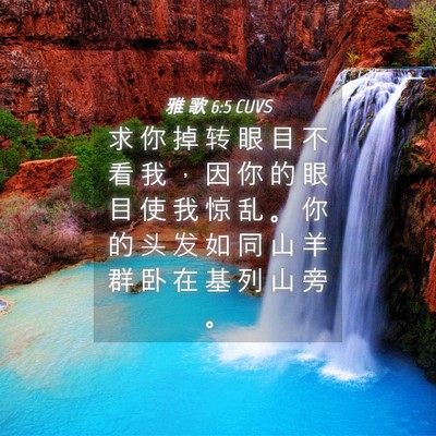 Picture 04 - 雅 歌 6:5 CUVS - 求 你 掉 转 眼 目 不 看 我 ， 因 你 - Bible Verse Picture
