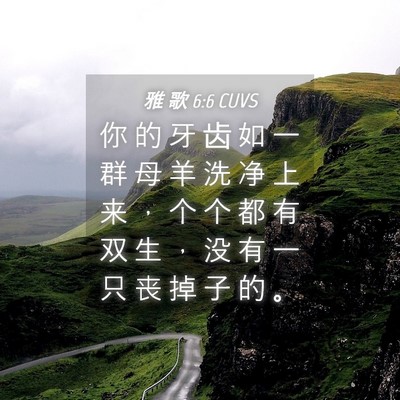 Picture 04 - 雅 歌 6:6 CUVS - 你 的 牙 齿 如 一 群 母 羊 洗 净 上 - Bible Verse Picture