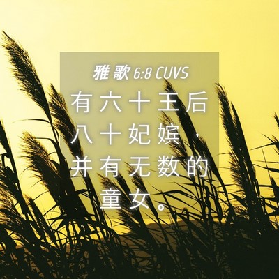 Picture 04 - 雅 歌 6:8 CUVS - 有 六 十 王 后 八 十 妃 嫔 ， 并 有 - Bible Verse Picture