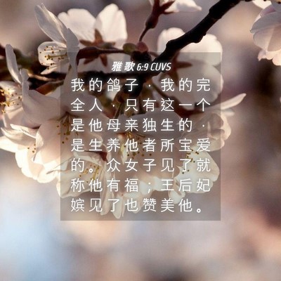 Picture 04 - 雅 歌 6:9 CUVS - 我 的 鸽 子 ， 我 的 完 全 人 ， 只 - Bible Verse Picture