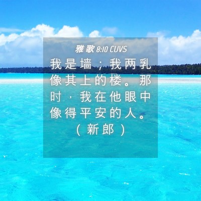 Picture 04 - 雅 歌 8:10 CUVS - 我 是 墙 ； 我 两 乳 像 其 上 的 楼 - Bible Verse Picture