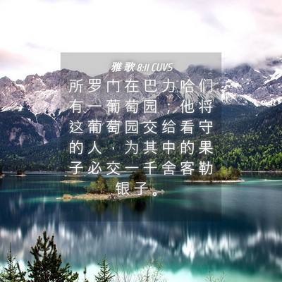 Picture 04 - 雅 歌 8:11 CUVS - 所 罗 门 在 巴 力 哈 们 有 一 葡 萄 - Bible Verse Picture