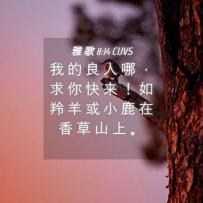 Picture 04 - 雅 歌 8:14 CUVS - 我 的 良 人 哪 ， 求 你 快 来 ！ 如 - Bible Verse Picture