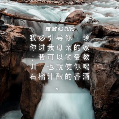 Picture 04 - 雅 歌 8:2 CUVS - 我 必 引 导 你 ， 领 你 进 我 母 亲 - Bible Verse Picture