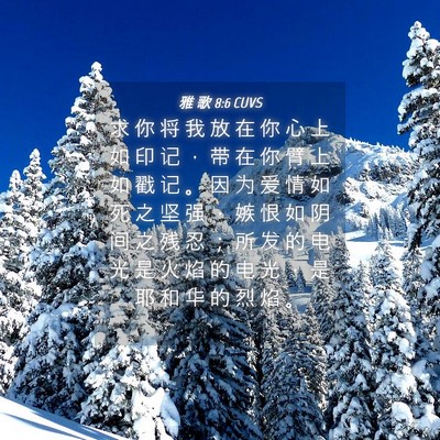 Picture 04 - 雅 歌 8:6 CUVS - 求 你 将 我 放 在 你 心 上 如 印 记 - Bible Verse Picture