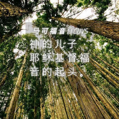 Picture 04 - 马 可 福 音 1:1 CUVS - 神 的 儿 子 ， 耶 稣 基 督 福 音 的 - Bible Verse Picture