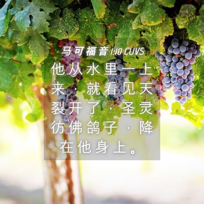 Picture 04 - 马 可 福 音 1:10 CUVS - 他 从 水 里 一 上 来 ， 就 看 见 天 - Bible Verse Picture