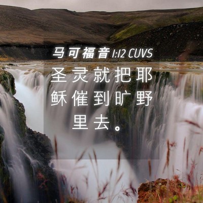 Picture 04 - 马 可 福 音 1:12 CUVS - 圣 灵 就 把 耶 稣 催 到 旷 野 里 去 - Bible Verse Picture