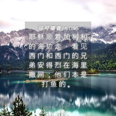 Picture 04 - 马 可 福 音 1:16 CUVS - 耶 稣 顺 着 加 利 利 的 海 边 走 ， - Bible Verse Picture