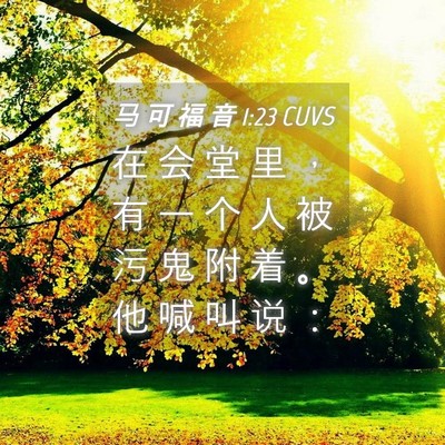 Picture 04 - 马 可 福 音 1:23 CUVS - 在 会 堂 里 ， 有 一 个 人 被 污 鬼 - Bible Verse Picture