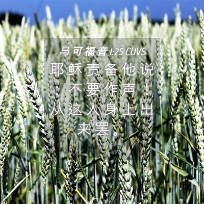Picture 04 - 马 可 福 音 1:25 CUVS - 耶 稣 责 备 他 说 ： 不 要 作 声 ！ - Bible Verse Picture