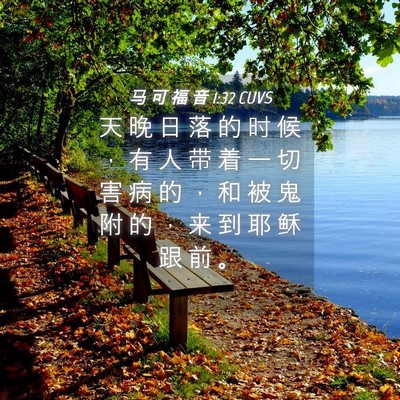 Picture 04 - 马 可 福 音 1:32 CUVS - 天 晚 日 落 的 时 候 ， 有 人 带 着 - Bible Verse Picture