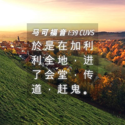 Picture 04 - 马 可 福 音 1:39 CUVS - 於 是 在 加 利 利 全 地 ， 进 了 会 - Bible Verse Picture