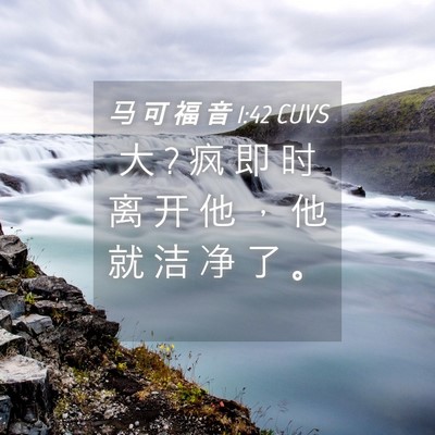 Picture 04 - 马 可 福 音 1:42 CUVS - 大 ? 疯 即 时 离 开 他 ， 他 就 洁 净 - Bible Verse Picture