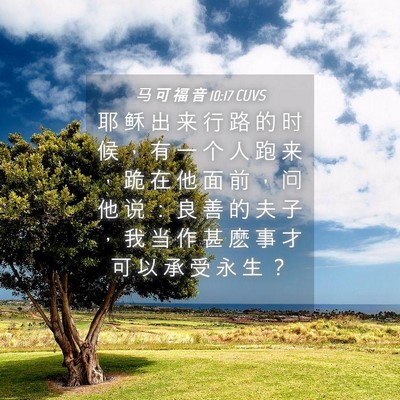 Picture 04 - 马 可 福 音 10:17 CUVS - 耶 稣 出 来 行 路 的 时 候 ， 有 一 - Bible Verse Picture