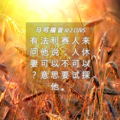 Picture 04 - 马 可 福 音 10:2 CUVS - 有 法 利 赛 人 来 问 他 说 ： 人 休 - Bible Verse Picture