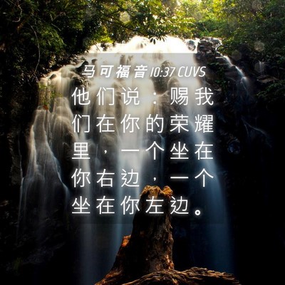 Picture 04 - 马 可 福 音 10:37 CUVS - 他 们 说 ： 赐 我 们 在 你 的 荣 耀 - Bible Verse Picture
