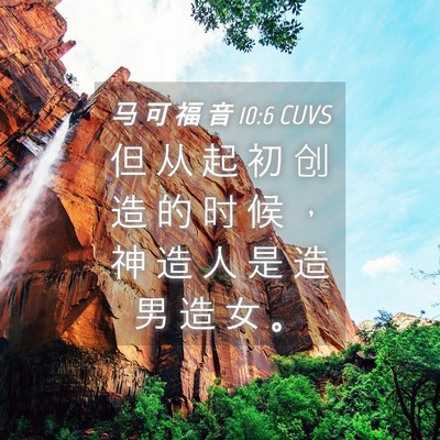 Picture 04 - 马 可 福 音 10:6 CUVS - 但 从 起 初 创 造 的 时 候 ， 神 造 - Bible Verse Picture