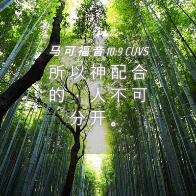 Picture 04 - 马 可 福 音 10:9 CUVS - 所 以 神 配 合 的 ， 人 不 可 分 开 - Bible Verse Picture
