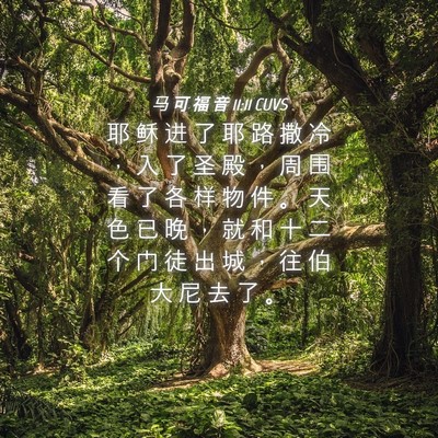 Picture 04 - 马 可 福 音 11:11 CUVS - 耶 稣 进 了 耶 路 撒 冷 ， 入 了 圣 - Bible Verse Picture