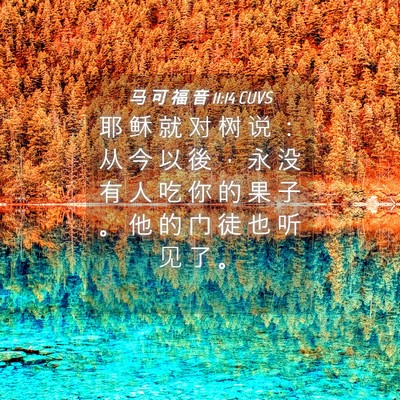 Picture 04 - 马 可 福 音 11:14 CUVS - 耶 稣 就 对 树 说 ： 从 今 以 後 ， - Bible Verse Picture