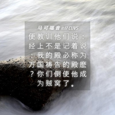 Picture 04 - 马 可 福 音 11:17 CUVS - 便 教 训 他 们 说 ： 经 上 不 是 记 - Bible Verse Picture