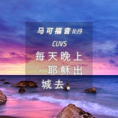 Picture 04 - 马 可 福 音 11:19 CUVS - 每 天 晚 上 ， 耶 稣 出 城 去 - Bible Verse Picture