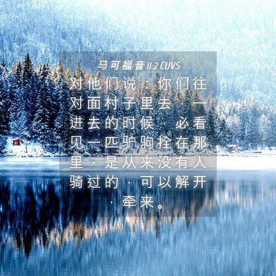 Picture 04 - 马 可 福 音 11:2 CUVS - 对 他 们 说 ： 你 们 往 对 面 村 子 - Bible Verse Picture