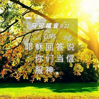 Picture 04 - 马 可 福 音 11:22 CUVS - 耶 稣 回 答 说 ： 你 们 当 信 服 神 - Bible Verse Picture