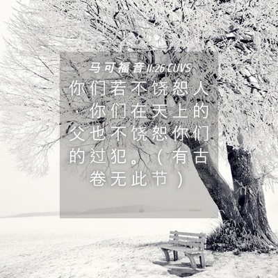 Picture 04 - 马 可 福 音 11:26 CUVS - 你 们 若 不 饶 恕 人 ， 你 们 在 天 - Bible Verse Picture