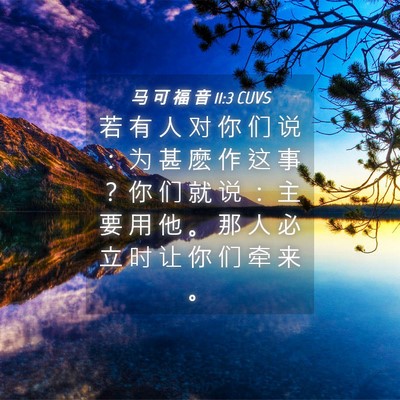 Picture 04 - 马 可 福 音 11:3 CUVS - 若 有 人 对 你 们 说 ： 为 甚 麽 作 - Bible Verse Picture