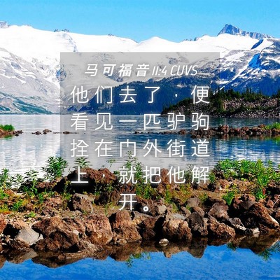 Picture 04 - 马 可 福 音 11:4 CUVS - 他 们 去 了 ， 便 看 见 一 匹 驴 驹 - Bible Verse Picture