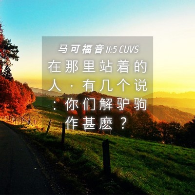 Picture 04 - 马 可 福 音 11:5 CUVS - 在 那 里 站 着 的 人 ， 有 几 个 说 - Bible Verse Picture