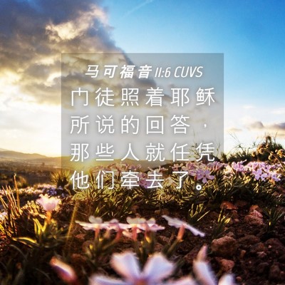 Picture 04 - 马 可 福 音 11:6 CUVS - 门 徒 照 着 耶 稣 所 说 的 回 答 ， - Bible Verse Picture