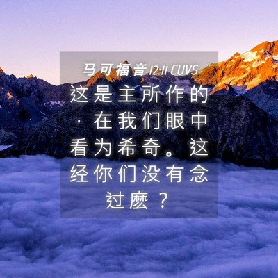Picture 04 - 马 可 福 音 12:11 CUVS - 这 是 主 所 作 的 ， 在 我 们 眼 中 - Bible Verse Picture