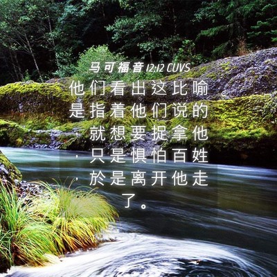 Picture 04 - 马 可 福 音 12:12 CUVS - 他 们 看 出 这 比 喻 是 指 着 他 们 - Bible Verse Picture