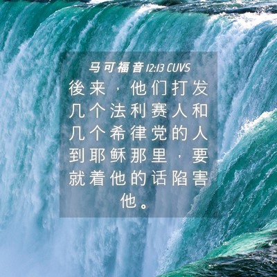 Picture 04 - 马 可 福 音 12:13 CUVS - 後 来 ， 他 们 打 发 几 个 法 利 赛 - Bible Verse Picture