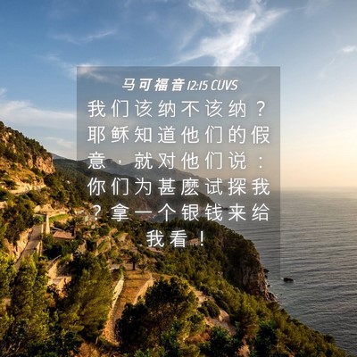 Picture 04 - 马 可 福 音 12:15 CUVS - 我 们 该 纳 不 该 纳 ？ 耶 稣 知 道 - Bible Verse Picture