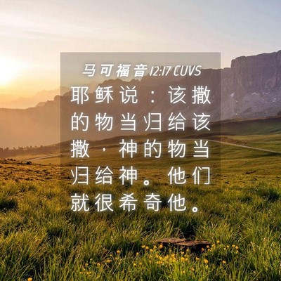 Picture 04 - 马 可 福 音 12:17 CUVS - 耶 稣 说 ： 该 撒 的 物 当 归 给 该 - Bible Verse Picture