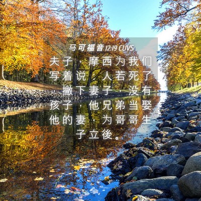 Picture 04 - 马 可 福 音 12:19 CUVS - 夫 子 ， 摩 西 为 我 们 写 着 说 ： - Bible Verse Picture