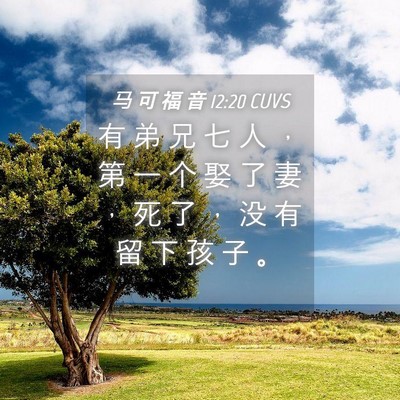 Picture 04 - 马 可 福 音 12:20 CUVS - 有 弟 兄 七 人 ， 第 一 个 娶 了 妻 - Bible Verse Picture