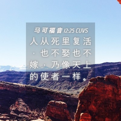 Picture 04 - 马 可 福 音 12:25 CUVS - 人 从 死 里 复 活 ， 也 不 娶 也 不 - Bible Verse Picture