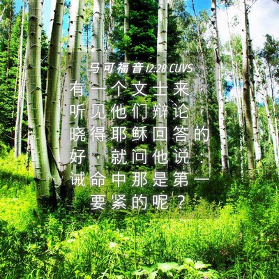 Picture 04 - 马 可 福 音 12:28 CUVS - 有 一 个 文 士 来 ， 听 见 他 们 辩 - Bible Verse Picture