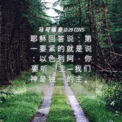 Picture 04 - 马 可 福 音 12:29 CUVS - 耶 稣 回 答 说 ： 第 一 要 紧 的 就 - Bible Verse Picture