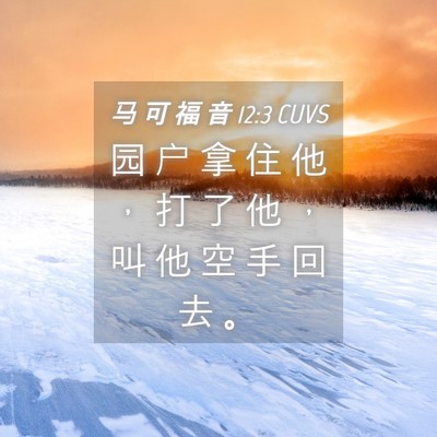 Picture 04 - 马 可 福 音 12:3 CUVS - 园 户 拿 住 他 ， 打 了 他 ， 叫 他 - Bible Verse Picture