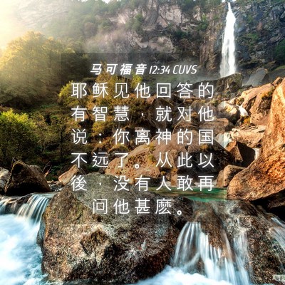 Picture 04 - 马 可 福 音 12:34 CUVS - 耶 稣 见 他 回 答 的 有 智 慧 ， 就 - Bible Verse Picture