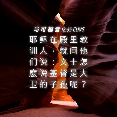 Picture 04 - 马 可 福 音 12:35 CUVS - 耶 稣 在 殿 里 教 训 人 ， 就 问 他 - Bible Verse Picture
