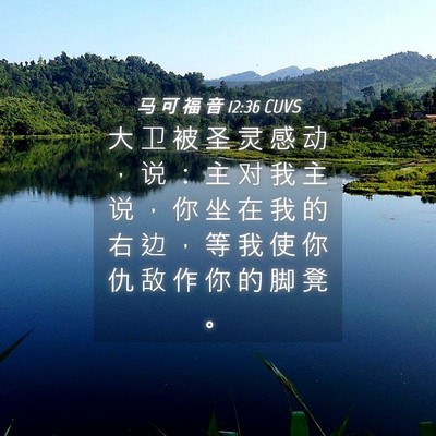 Picture 04 - 马 可 福 音 12:36 CUVS - 大 卫 被 圣 灵 感 动 ， 说 ： 主 对 - Bible Verse Picture