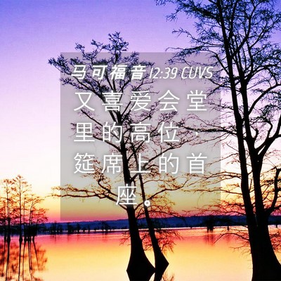 Picture 04 - 马 可 福 音 12:39 CUVS - 又 喜 爱 会 堂 里 的 高 位 ， 筵 席 - Bible Verse Picture
