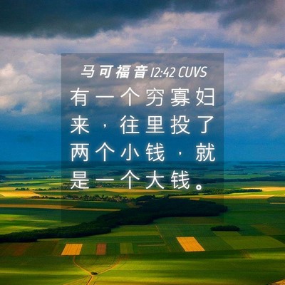 Picture 04 - 马 可 福 音 12:42 CUVS - 有 一 个 穷 寡 妇 来 ， 往 里 投 了 - Bible Verse Picture